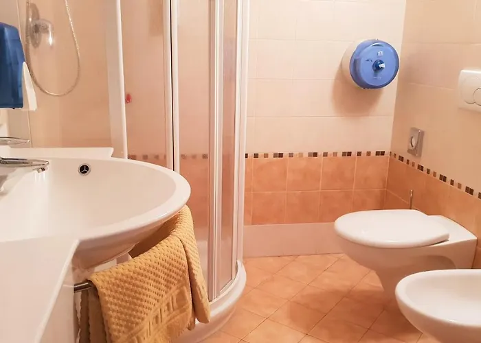 Alpino Bivio Hotel 3*